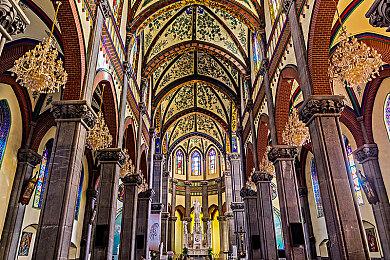 《宝可梦：朱＆紫》发售日公开 11月18日发售